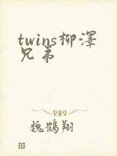 twins柳泽兄弟