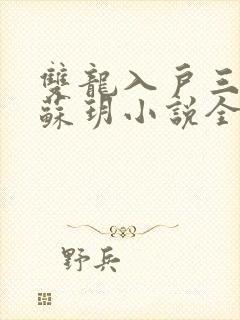 双龙入户三人行苏玥小说全文阅读