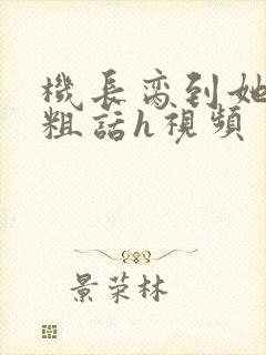 机长脔到她哭h粗话h视频