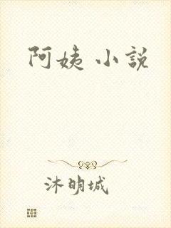 阿姨 小说