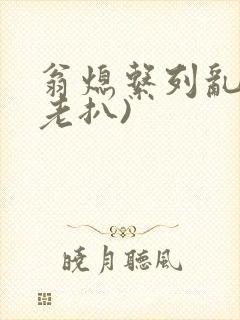 翁熄系列乱 (老扒)