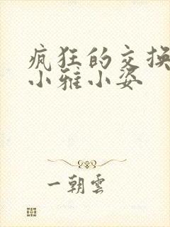 疯狂的交换小静小雅小姿