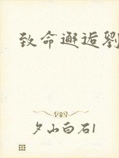 致命邂逅刘小寐