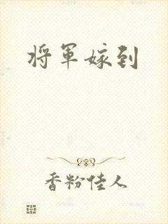 将军嫁到