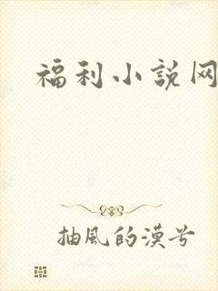 福利小说网