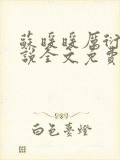 苏暖暖厉衍琛小说全文免费阅读