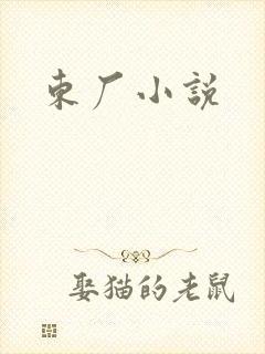 东厂小说