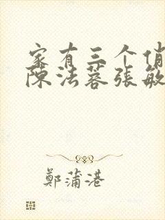 家有三个俏媳妇陈法蓉张敏