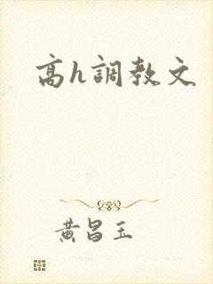 高h调教文