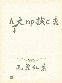 h文np挨c爽了