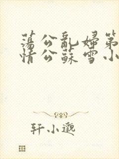 荡公乱妇第1章情公苏雪小说