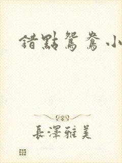 错点鸳鸯小说