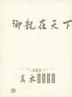 御龙在天下载