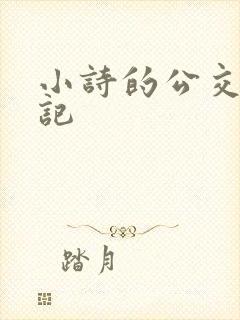 小诗的公交车日记