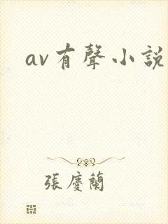 av有声小说