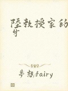 陆教授家的小月牙