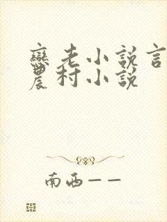 恋老小说言情网农村小说