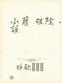 小萝 破除 小说