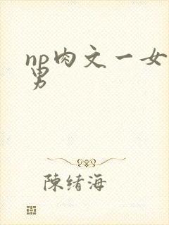 np肉文一女多男