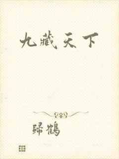 九藏天下