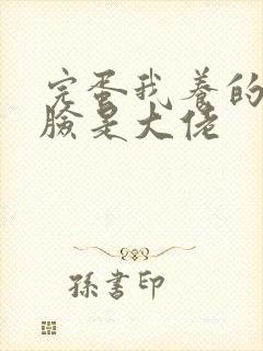 完蛋我养的小白脸是大佬