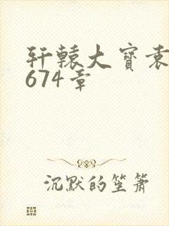 轩辕大宝袁雪妃674章