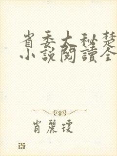 省委大秘楚东恒小说阅读全文