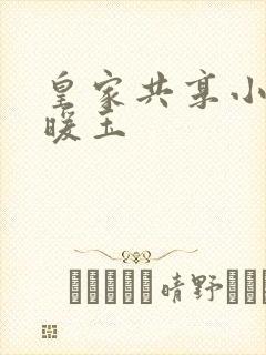 皇家共享小公主暖玉