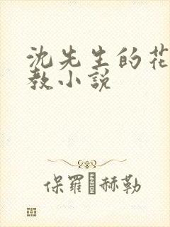 沈先生的花式管教小说