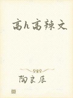 高h高辣文