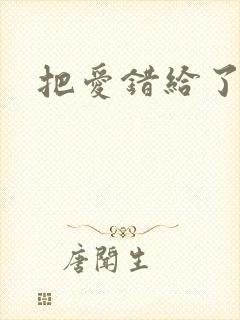 把爱错给了你