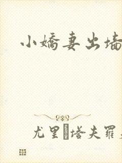 小娇妻出墙记