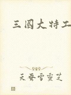 三国大特工
