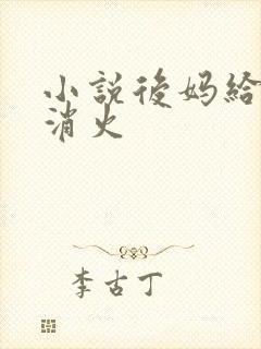 小说后妈给我消消火