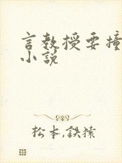 言教授要撞坏了小说