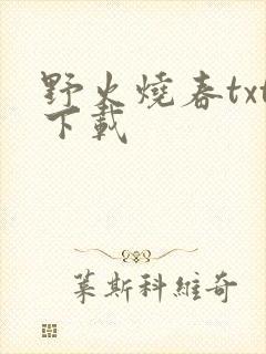野火烧春txt下载