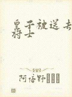 皇子被送去犒劳将士