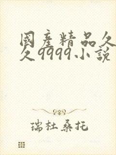 国产精品久久久久9999小说