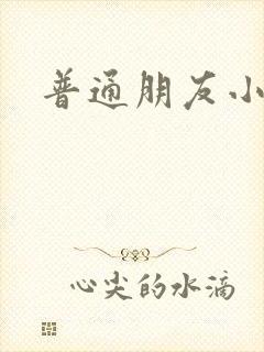 普通朋友小说