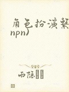 角色扮演系统(npn)