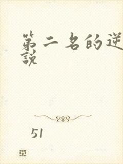 第二名的逆袭小说