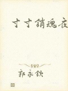 寸寸销魂夜春光