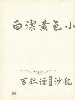 白洁黄色小说