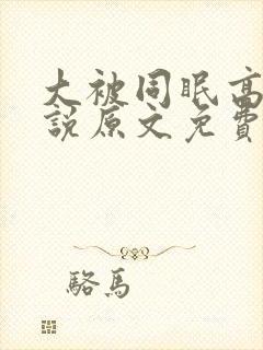 大被同眠高粱小说原文免费阅读