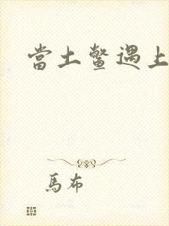 当土鳖遇上海龟