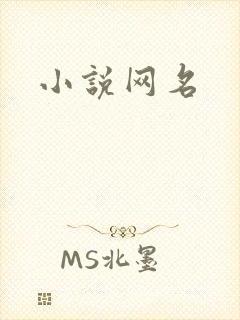 小说网名