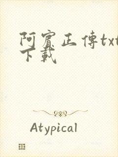 阿宾正传txt下载