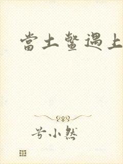 当土鳖遇上海龟