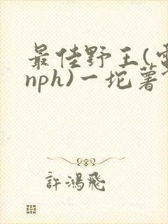 最佳野王(电竞nph)一坨薯饼