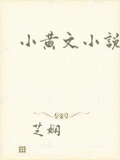 小黄文小说